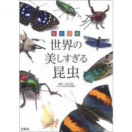 原色図鑑 世界の美しすぎる昆虫